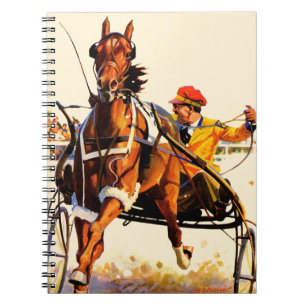 Harness Race Notebook
