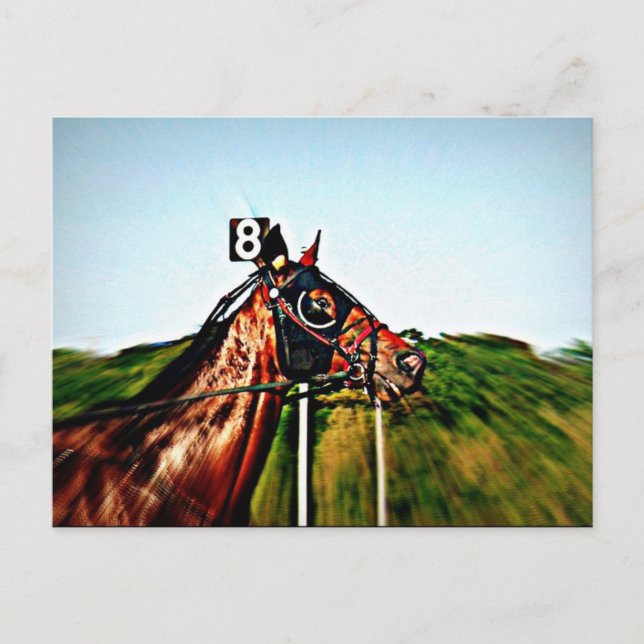 Harness Racing Post Card (Front)