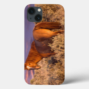 Harney County Wild horse stands alert iPhone 13 Case