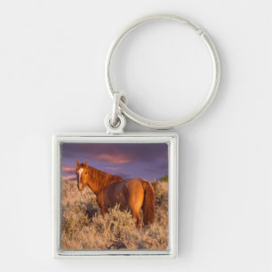 Harney County Wild horse stands alert Keychain