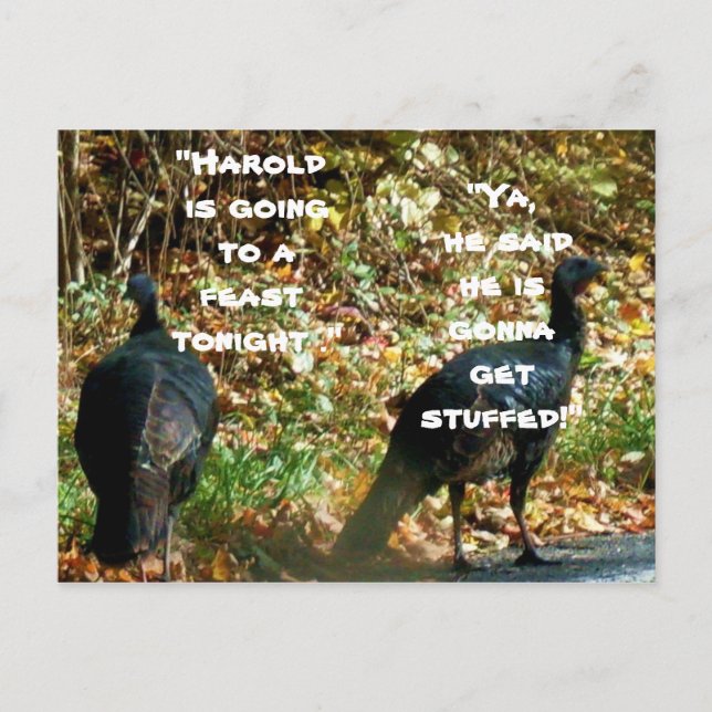HAROLD LA TURQUIE DEVIENT UNE CARTE POPULAIRE STUF (Devant)