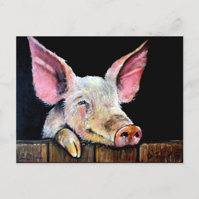 Harold (Steptoe pig) Postcard (Front)
