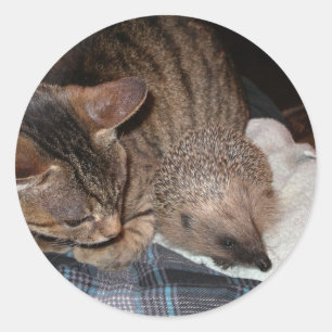 Harold The Hedgehog Sticker