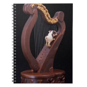 Harp & Mini Explorer Notebook