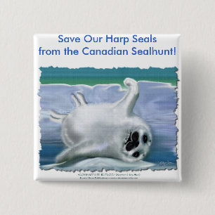 HARP SEAL BABY 2 INCH SQUARE BUTTON