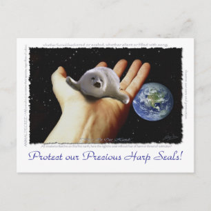 HARP SEAL Earth Day Postcards