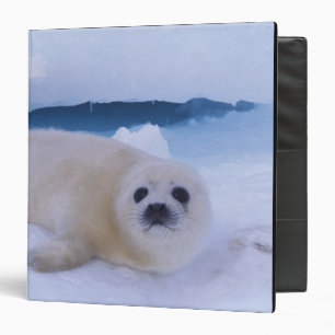 Harp Seal North America, Canada, Quebec Binder