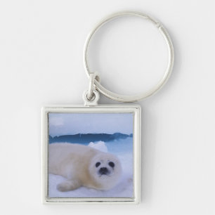 Harp Seal North America, Canada, Quebec Keychain