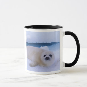 Harp Seal North America, Canada, Quebec Mug