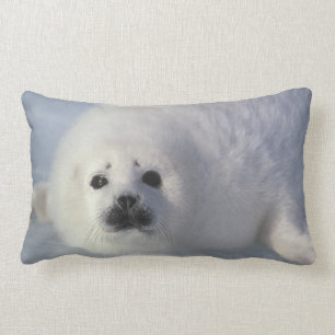 Harp seal Phoca groenlandica) A week-old harp Lumbar Pillow