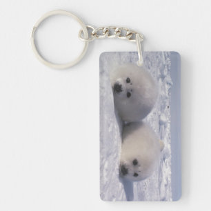 Harp seal (Phoca groenlandica) Harp seal pups Keychain