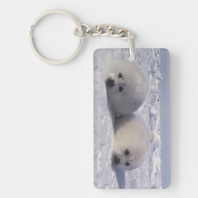 Harp seal (Phoca groenlandica) Harp seal pups Keychain (Front)