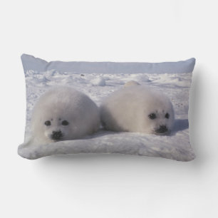 Harp seal (Phoca groenlandica) Harp seal pups Lumbar Pillow