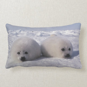 Harp seal (Phoca groenlandica) Harp seal pups Lumbar Pillow