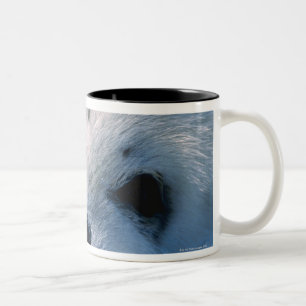 Harp seal pup 2 Two-Tone coffee mug