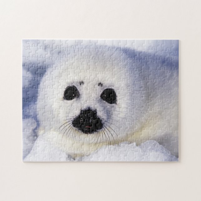Harp seal pup ice Gulf of St. Lawrence, Jigsaw Puzzle (Horizontal)