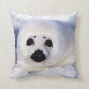 Harp seal pup ice Gulf of St. Lawrence, Throw Pillow
