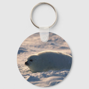 Harp Seal Pup in Snow Keychain