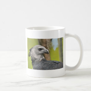 Harpy Eagle 1.JPG Coffee Mug
