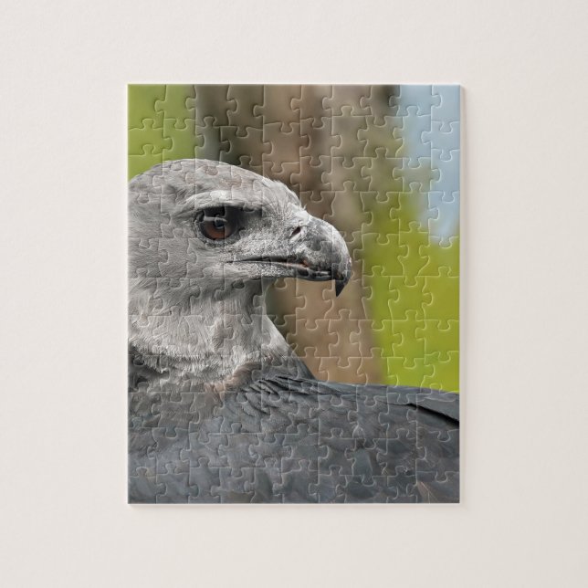Harpy Eagle 1.JPG Jigsaw Puzzle (Vertical)