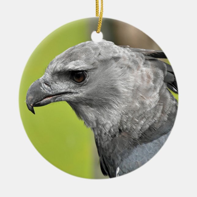 Harpy Eagle 2.JPG Ceramic Ornament (Front)