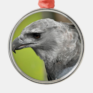 Harpy Eagle 2.JPG Metal Ornament