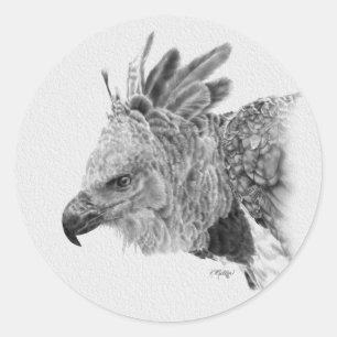 Harpy Eagle Drawing Classic Round Sticker