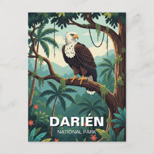 Harpy Eagle in Darien National Park Panama  Postcard