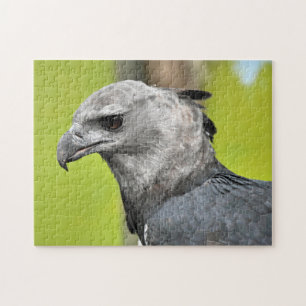 Harpy Eagle Jigsaw Puzzle