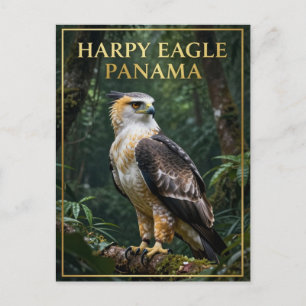 🦅 Harpy Eagle Panama Rainforest Bird Postcard