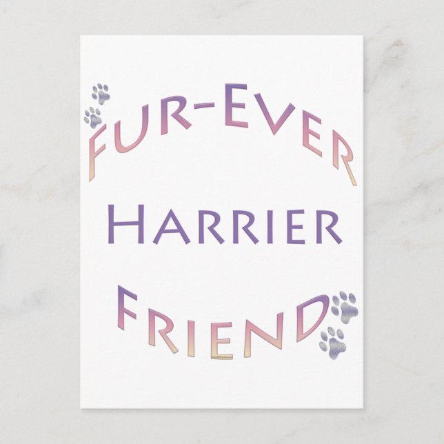 Harrier Furever Postcard (Front)