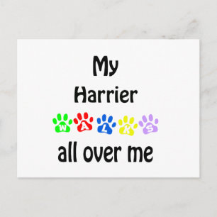 Harrier Walks Design Postcard