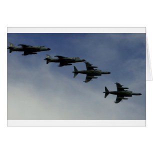 Harriers
