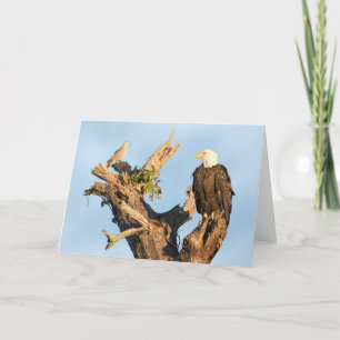 Harriet and the Dove Holiday Card