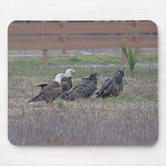 Harriet M15 E10 and E11 Mouse Pad (Front)