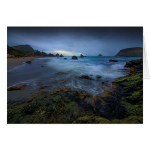 Harris Beach State Park Oregon