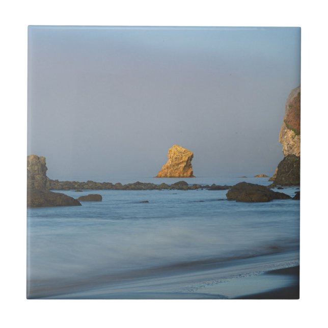 Harris Beach State Park Tile (Front)