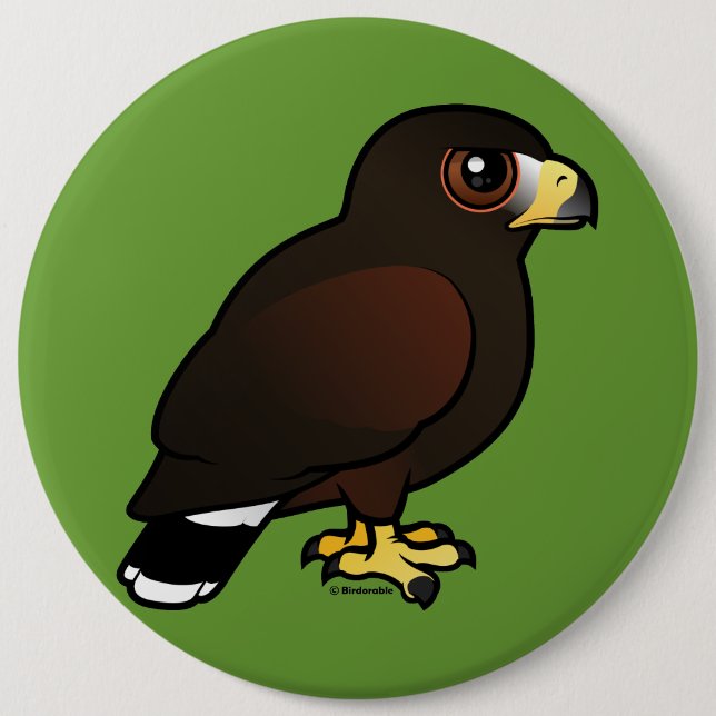 Harris Hawk 6 Inch Round Button (Front)