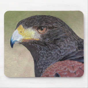 Harris Hawk coloured pencils Mouse Pad