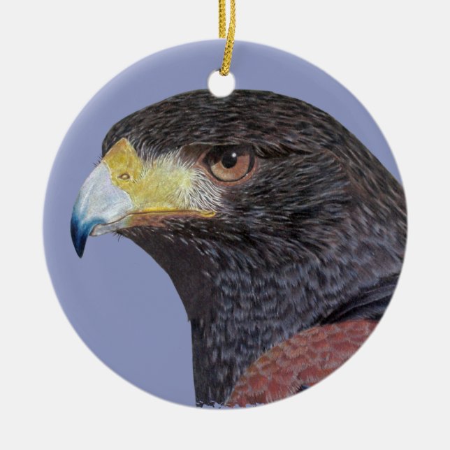 Harris Hawk - cp Ceramic Ornament (Front)