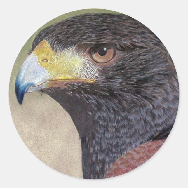 Harris Hawk-cp Classic Round Sticker (Front)