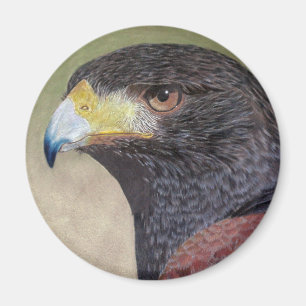 Harris Hawk-cp Magnet