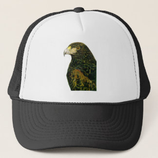 Harris Hawk Hat