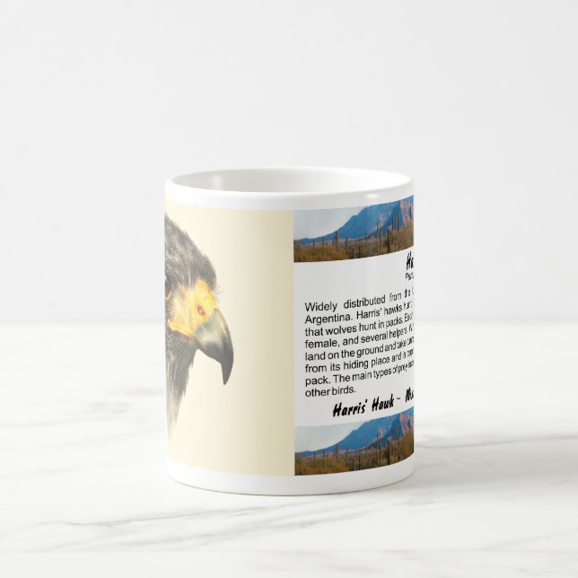 Harris Hawk - Mixed Medium Coffee Mug (Center)