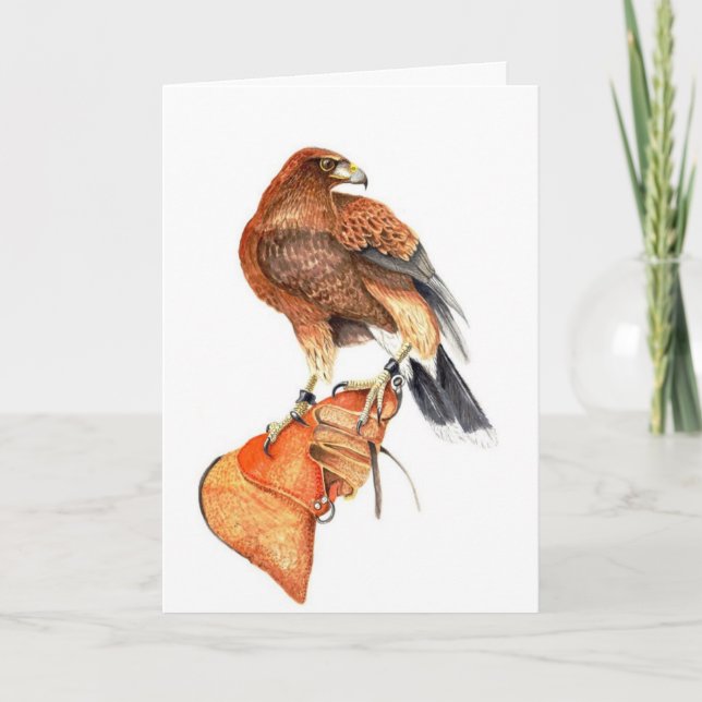 Harris Hawk on Glove birthday Card (Front)