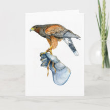 Harris Hawk on Glove birthday Card