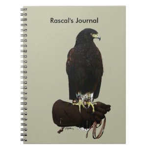 Harris Hawk on Glove Notebook