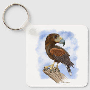 Harris Hawk On The Lookout Cartoon Keychain