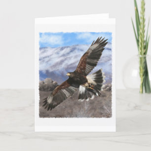 Harris Hawk- pastel Card