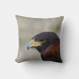 Harris Hawk Portrait Throw Pillow